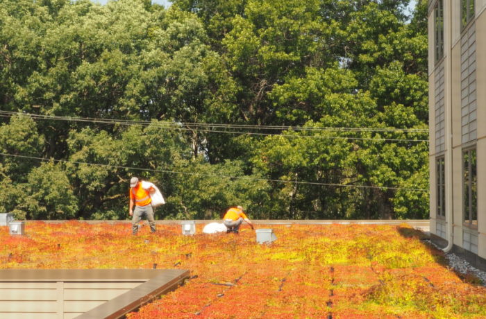 Rooftop Garden at St. Paul’s Monastery